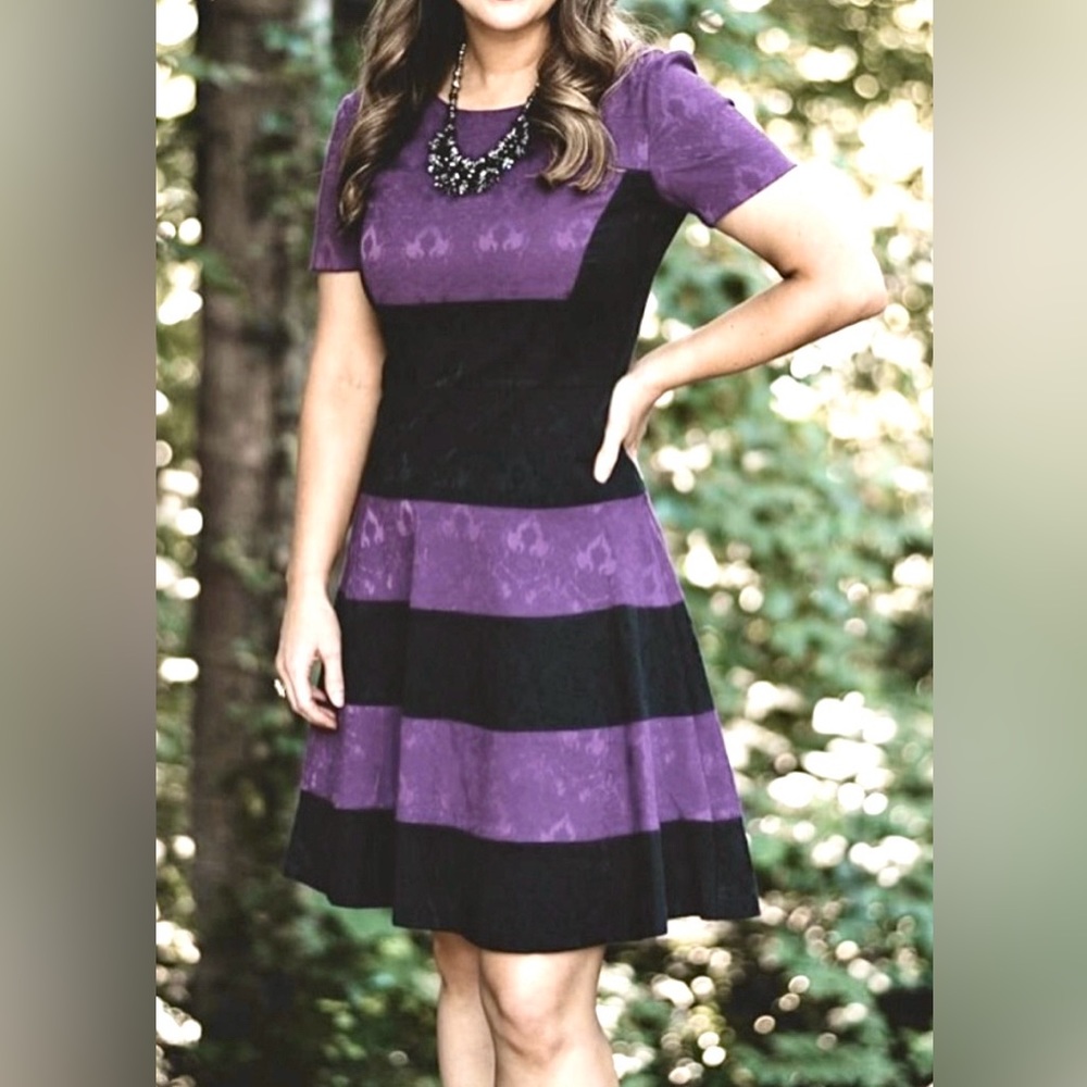Belle Badgley Mischka Brocade Color Block A-line Mini Dress in Grape & Black